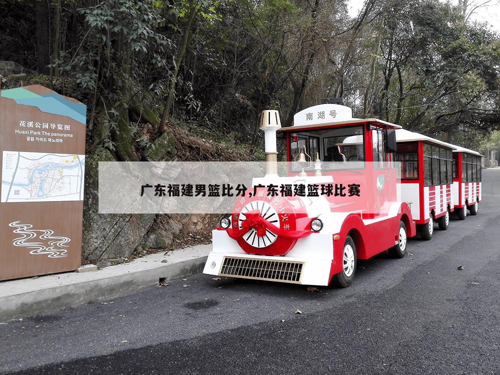 广东福建男篮比分,广东福建篮球比赛