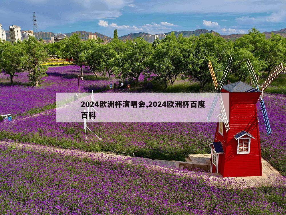 2024欧洲杯演唱会,2024欧洲杯百度百科