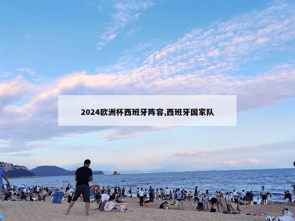 2024欧洲杯西班牙阵容,西班牙国家队