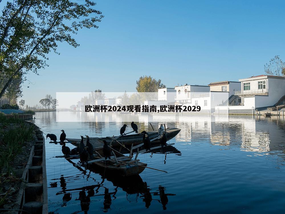 欧洲杯2024观看指南,欧洲杯2029