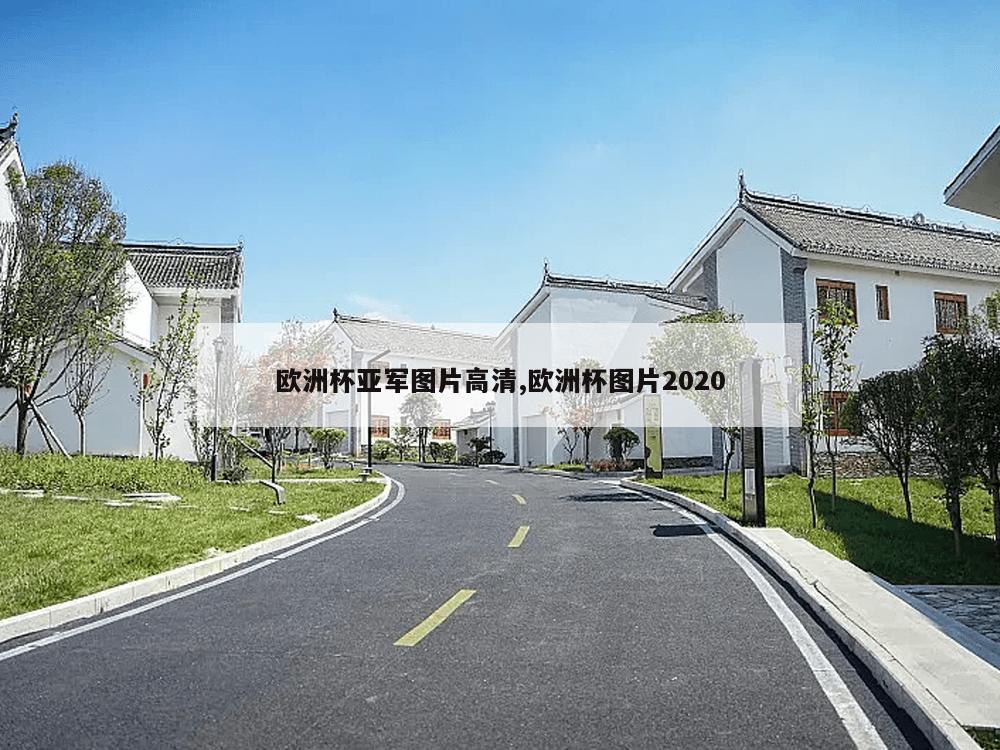 欧洲杯亚军图片高清,欧洲杯图片2020