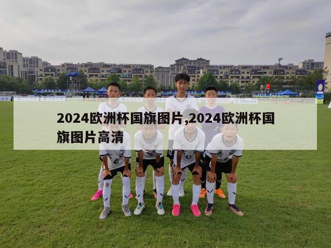 2024欧洲杯国旗图片,2024欧洲杯国旗图片高清