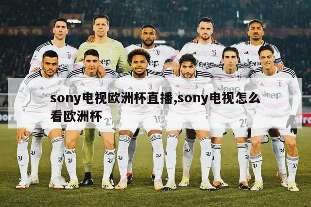 sony电视欧洲杯直播,sony电视怎么看欧洲杯