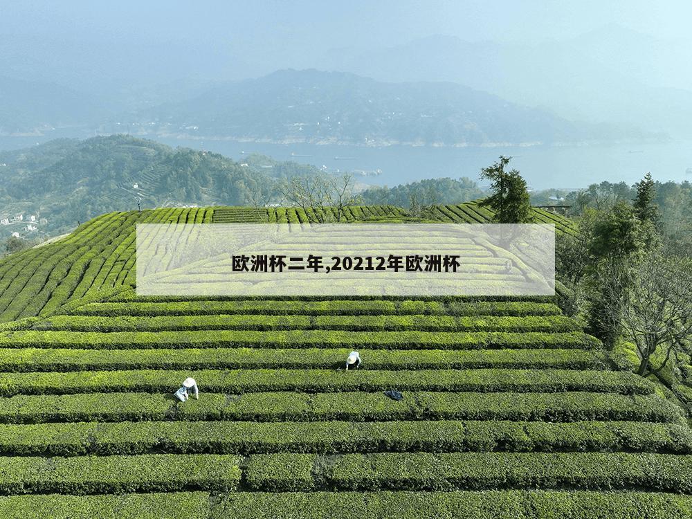 欧洲杯二年,20212年欧洲杯