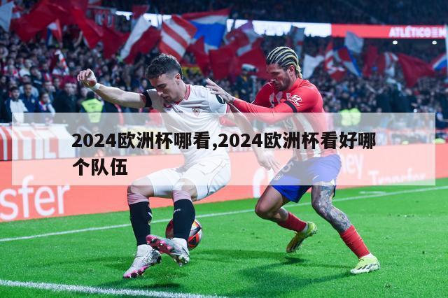 2024欧洲杯哪看,2024欧洲杯看好哪个队伍