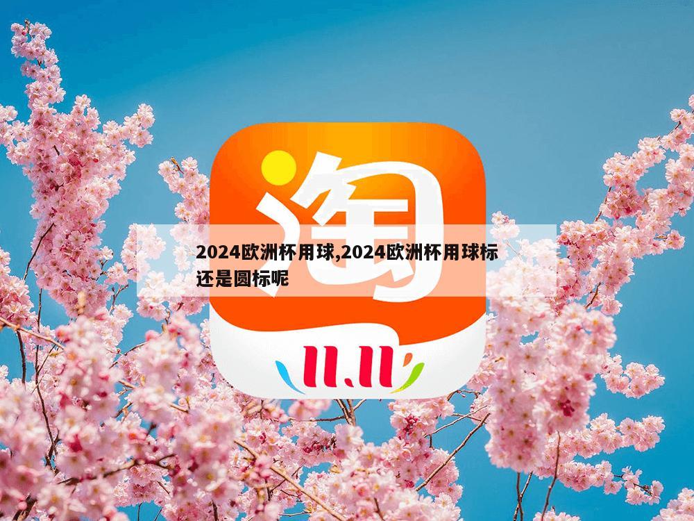 2024欧洲杯用球,2024欧洲杯用球标还是圆标呢