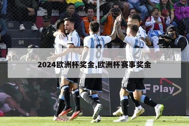 2024欧洲杯奖金,欧洲杯赛事奖金