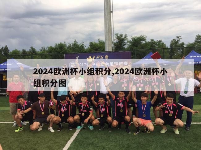 2024欧洲杯小组积分,2024欧洲杯小组积分图