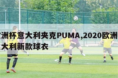 欧洲杯意大利夹克PUMA,2020欧洲杯意大利新款球衣