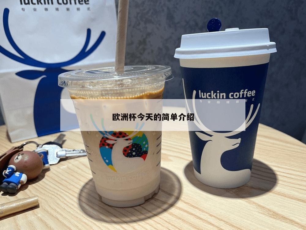 欧洲杯今天的简单介绍