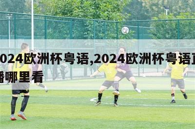 2024欧洲杯粤语,2024欧洲杯粤语直播哪里看