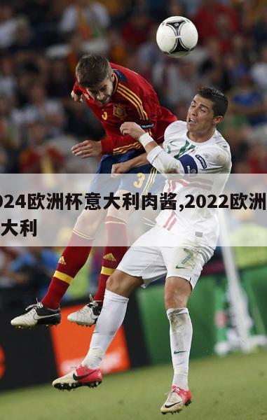 2024欧洲杯意大利肉酱,2022欧洲杯意大利