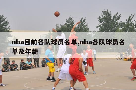 nba目前各队球员名单,nba各队球员名单及年薪